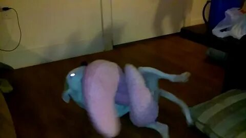 Funny DOG humping pillow - YouTube