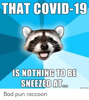 🐣 25+ Best Memes About Bad Pun Raccoon Bad Pun Raccoon Memes