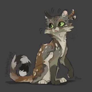 Kestrelflight by GrayPillow Warrior cats fan art, Warrior ca