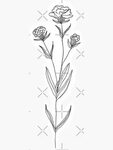 January Birth Month Flower Carnation Sticker by ekwdesigns B