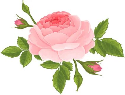 Pink Rose with Buds PNG Clip Art Image Art images, Clip art,