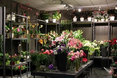 Орхидеи на полках Цветочные магазины, Дизайн цветочного мага