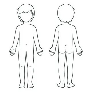 Drawing Of The Human Body Outline Front And Back Illustratio