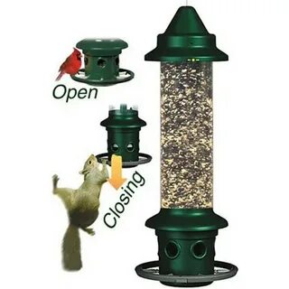 Brome 1024 Squirrel Buster Plus Wild Bird Feeder with Cardin