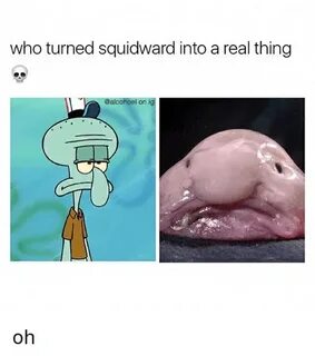 Who Turned Squidward Into a Real Thing on Ig Oh Meme on ME.M