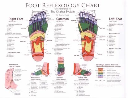 Reflexology - Large and in-depth chart Reflexology foot char