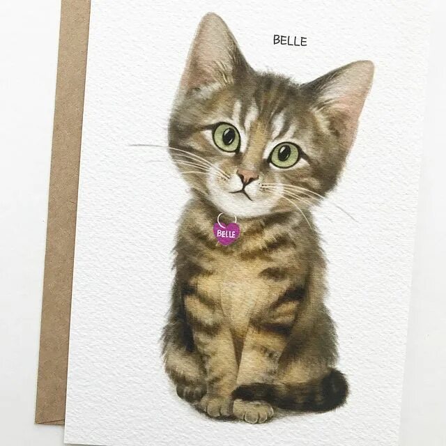 -This is a final image for kitten Belle. 