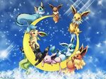Ultimate 15 Eeveelution Quiz Pokemon GO Amino