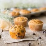 Chocolate Chip Pumpkin Muffins Primal Palate Paleo Recipes