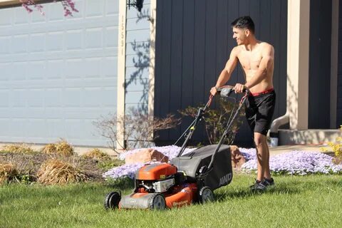 Free Images : grass, tool, summer, male, vehicle, smiling, c