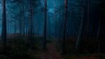 Dark Forest Wallpapers (79+ background pictures)