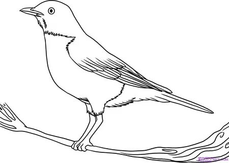 Bird Drawing Flying at GetDrawings Free download