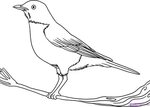 Bird Drawing Flying at GetDrawings Free download