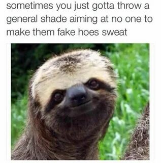 Pin by Sarah Moore on LOL Pictures of sloths