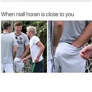 Niall horan is gay