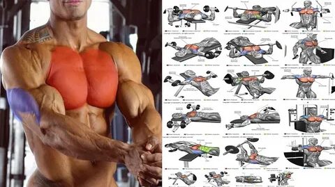 Chest And Triceps Superset Workout Programme