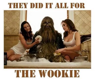 THE WOOKIE WINS - Children of the Ampersand