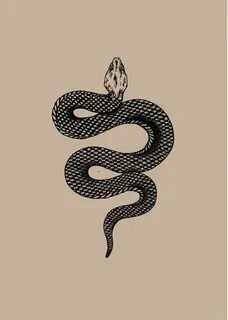 keeping it classy Snake tattoo design, Tattoo designs and me