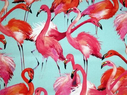 Flamingo cotton Fabric
