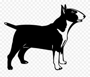 Download Bull Terrier Boston Terrier West Highland White Ter