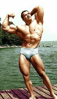 Arnold Culturismo, Fitness, Ejercicio fisico