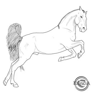 Horse lineart 0 images about horse line art how to on tack 2