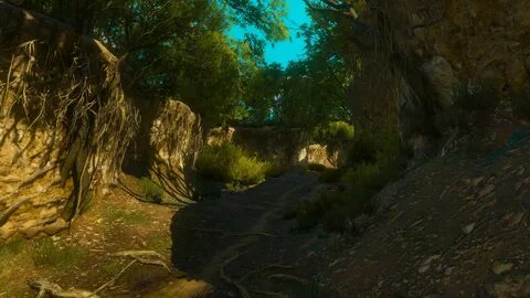 Ravine / Rocks / Forest from The Witcher 3: Wild Hunt