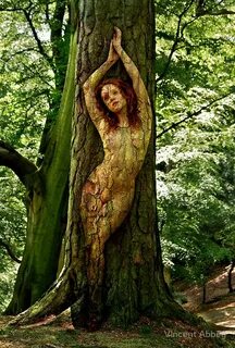 "Wood Nymph" Framed Prints by Vincent Abbey Redbubble pictur