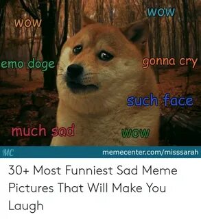 Wow WOW Emo Doge Gonna Cry Such Face Much Sad Wow MC Memecen