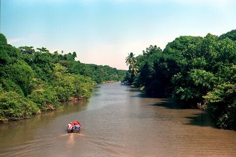 File:Estero del Rio Tuxpan.jpg - Wikimedia Commons