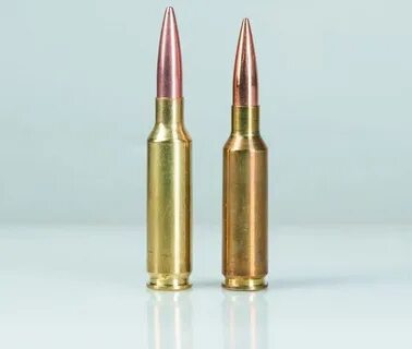 6,5 Creedmoor новый король или калиф на час? - Статьи об ору