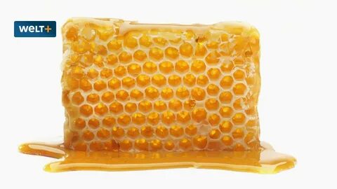 Honig: Bienenstock oder Fabrik? 