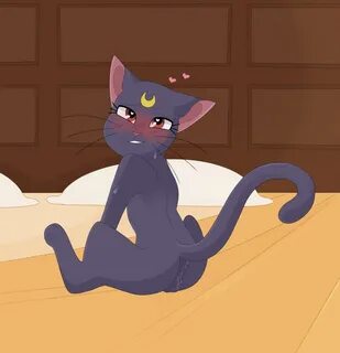 FurryBooru - a cat is fine too anus aroused bedroom eyes bod
