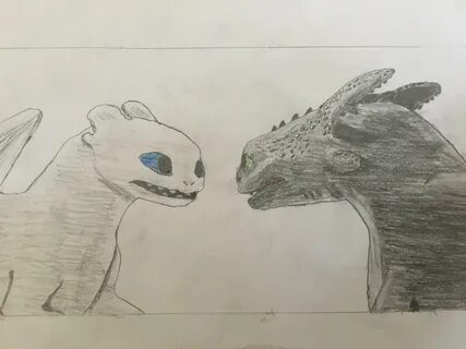 Images Of Toothless And Light Fury Drawing