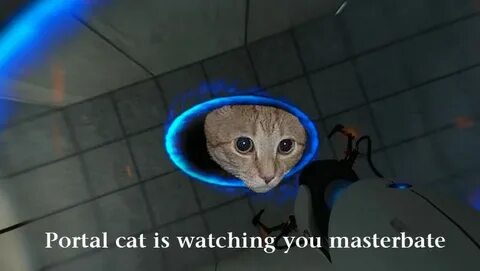 Image - 16675 Ceiling Cat Know Your Meme