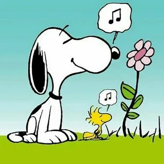 Snoopy Snoopy love, Snoopy images, Snoopy funny