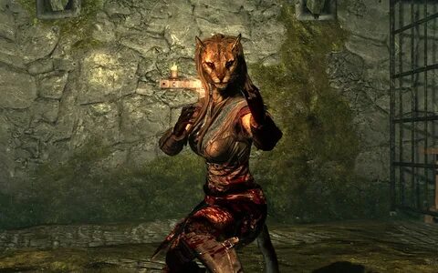 UESP Forums * View topic - The Skyrim Photographer's Guild