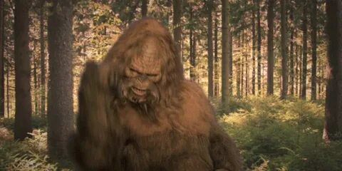 GIF creature sasquatch bigfoot - animated GIF on GIFER
