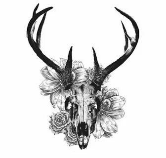 Native American Deer Skull Art - Фото база