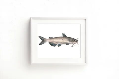 Channel Catfish Framed - Sarah E. Wain