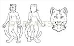 Furry Adoptable Base Download Мужской тигр anthro lineart Et