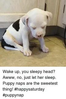 🔥 25+ Best Memes About Sleepy Head Sleepy Head Memes