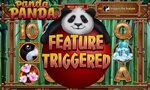 Panda Coin Slot Online 314 collectif