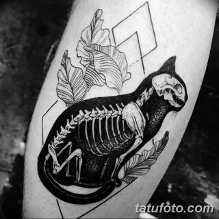 фото тату скелет кота 25.03.2019 № 009 - cat skeleton tattoo