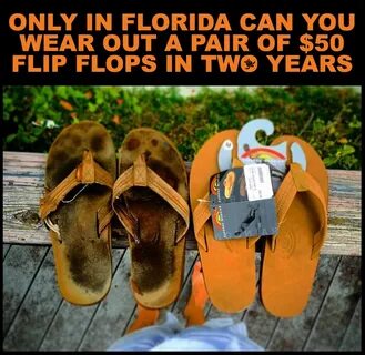 Florida Flip Flops Meme * Waterfront Properties Blog