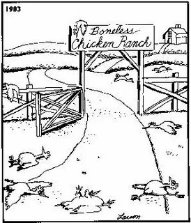 Boneless Chicken Ranch from Far Side Far side cartoons, The 