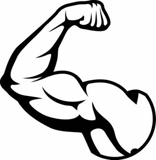 Muscle Bicep muscle, Biceps, Gym weights