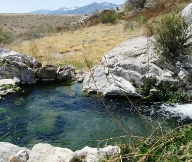 Utah.gov в Твиттере: "Gandy Warm Springs is a refreshing oas