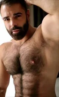 H O T 4 H A I R Y (2.0) Hot4Hairy2 Tumblr Message Twitter (S