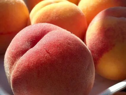 Как правильно посадить персик